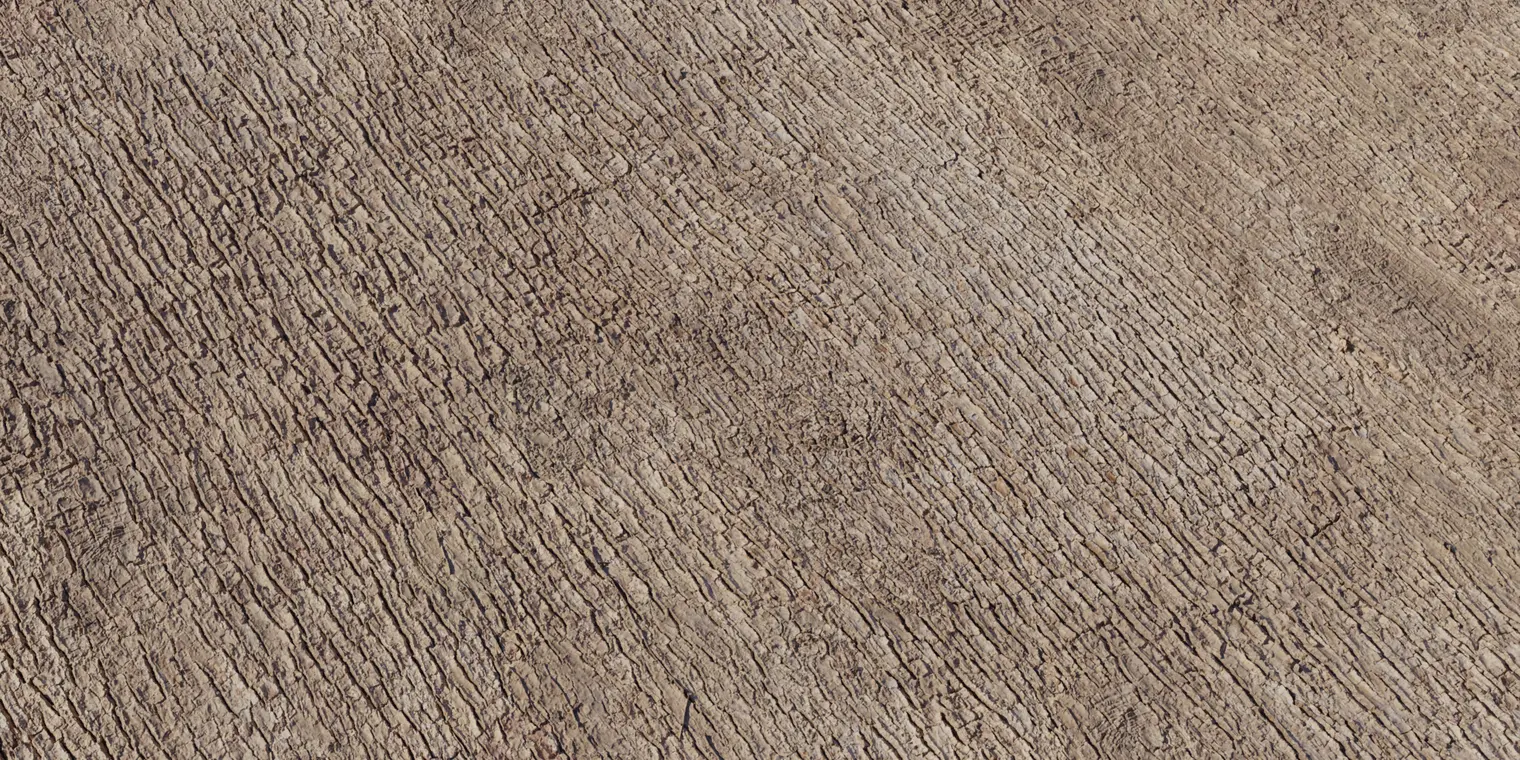 Japanese Camphor Bark