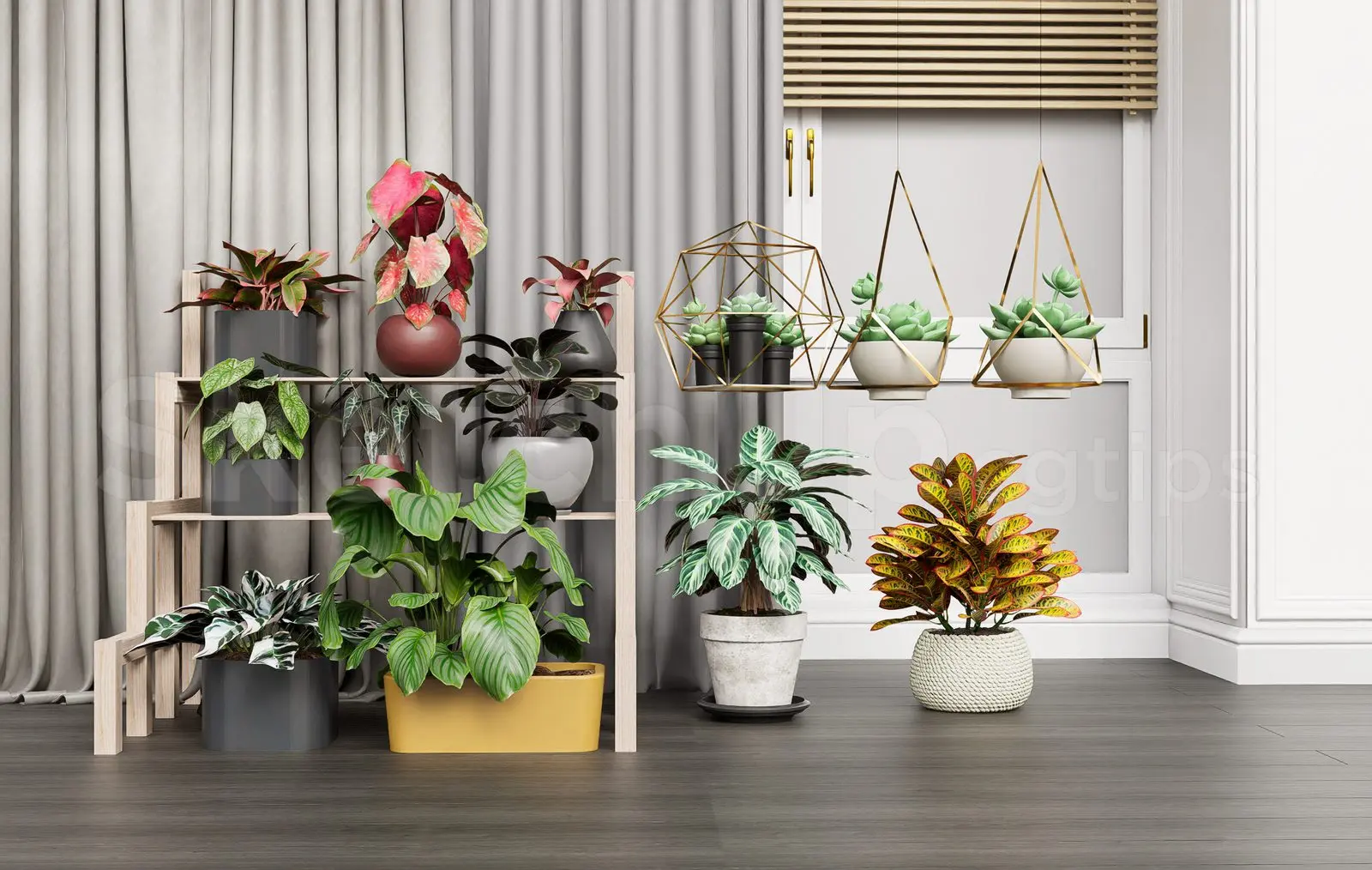Plant