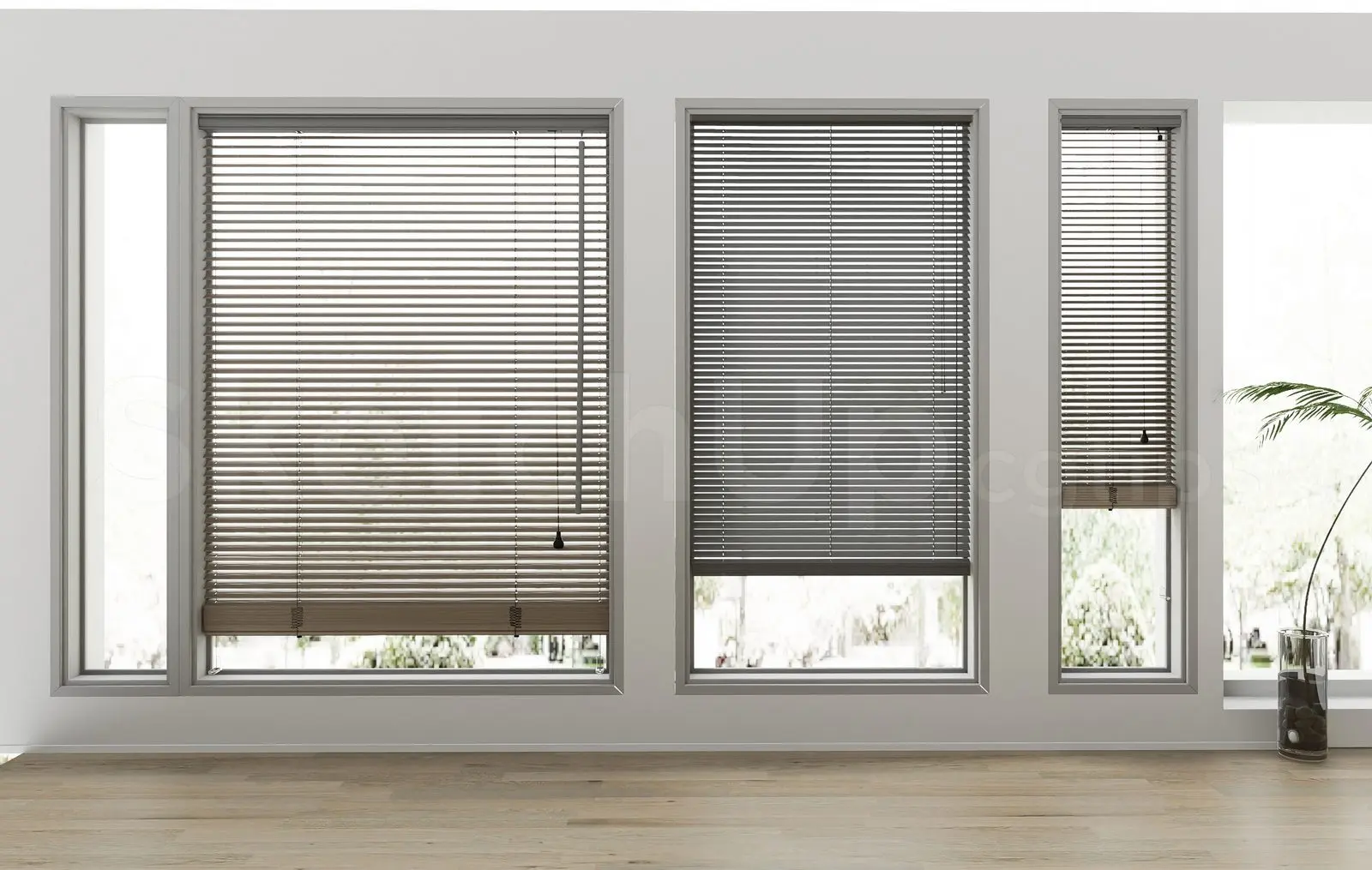Curtain