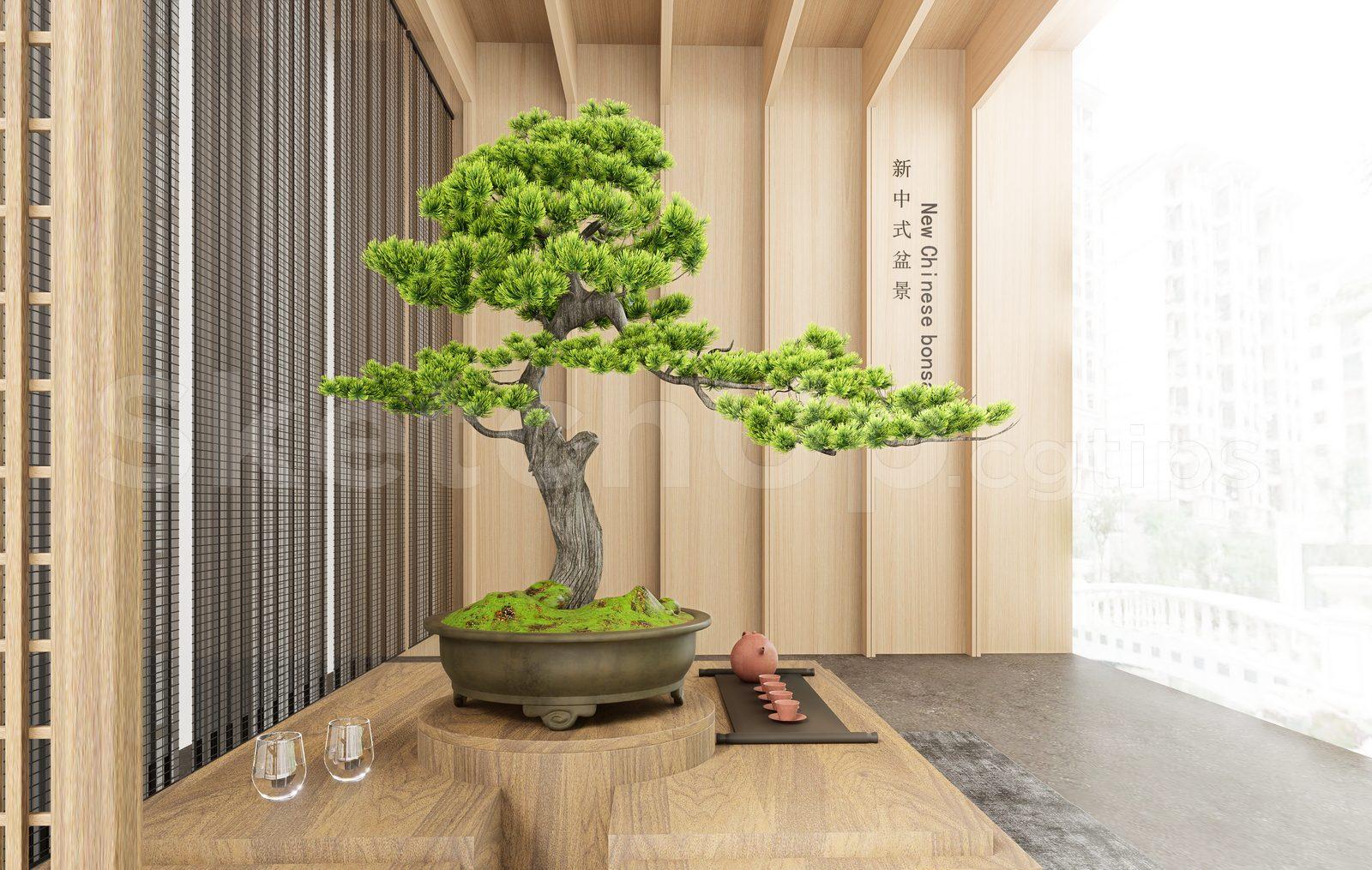 BonSai Tree