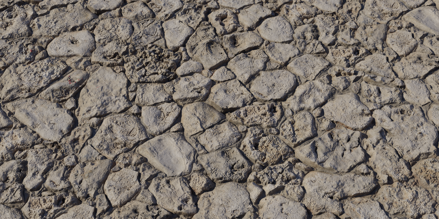 Coral Stone Wall