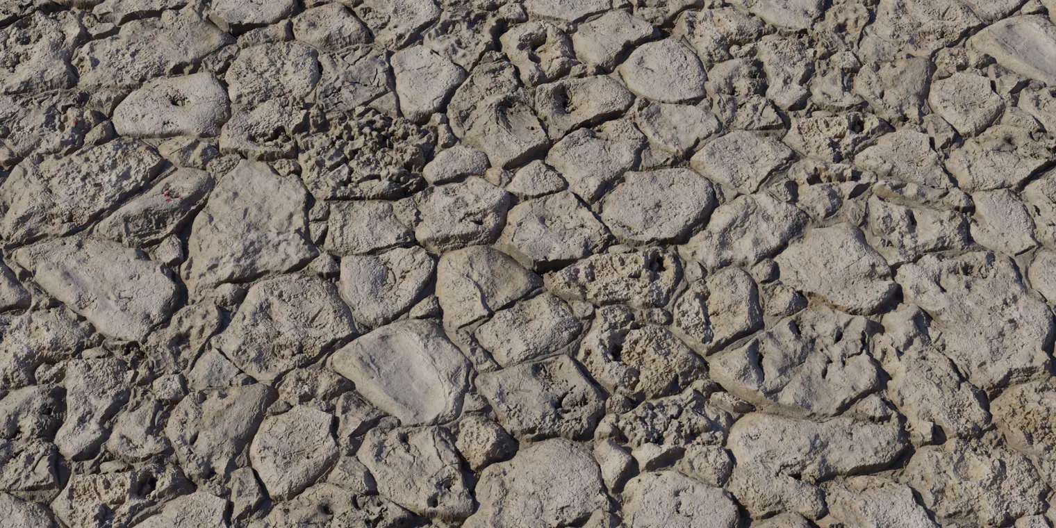 Coral Stone Wall — preview 1, by Dimitrios Savva (Poly Haven, CC0)