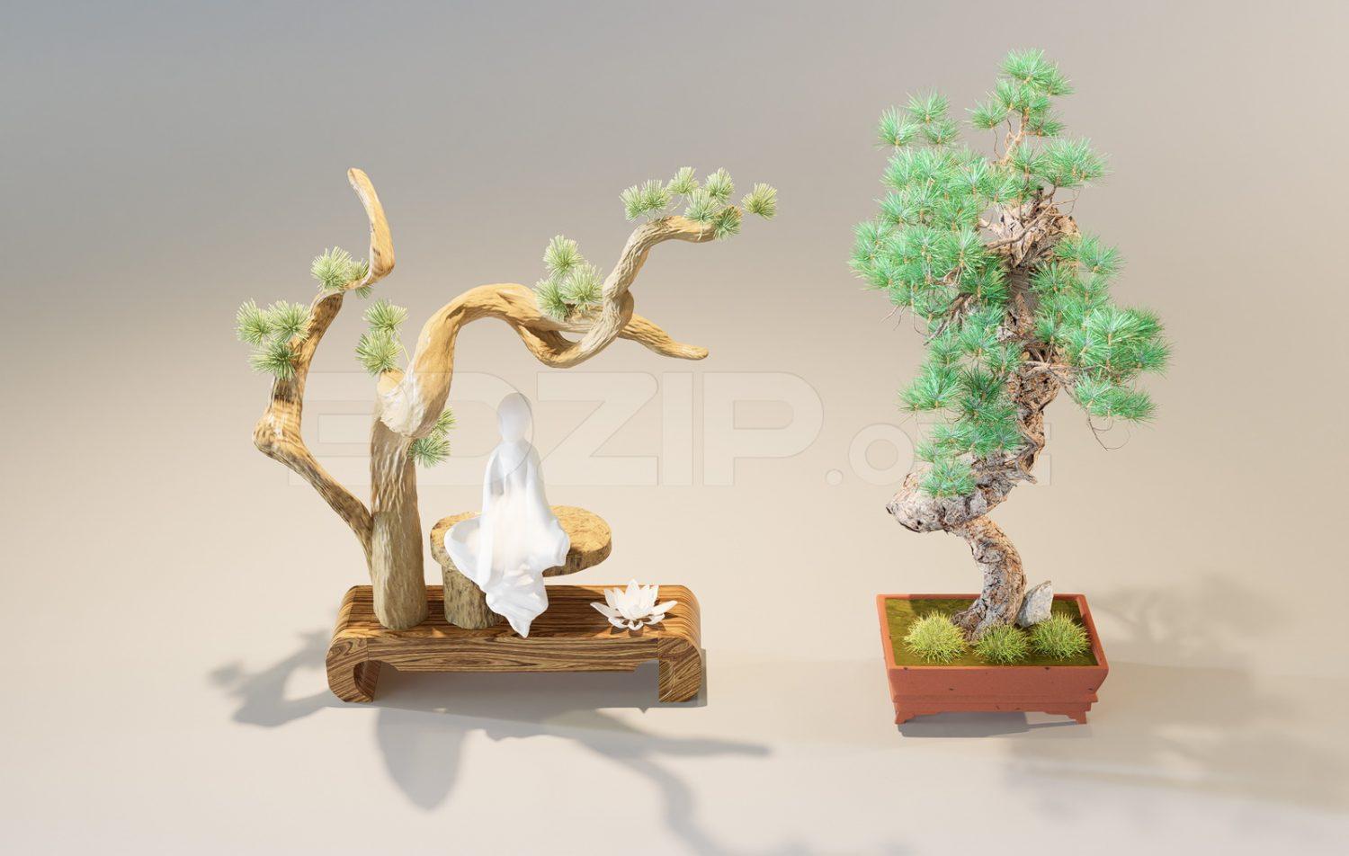 Bonsai trees
