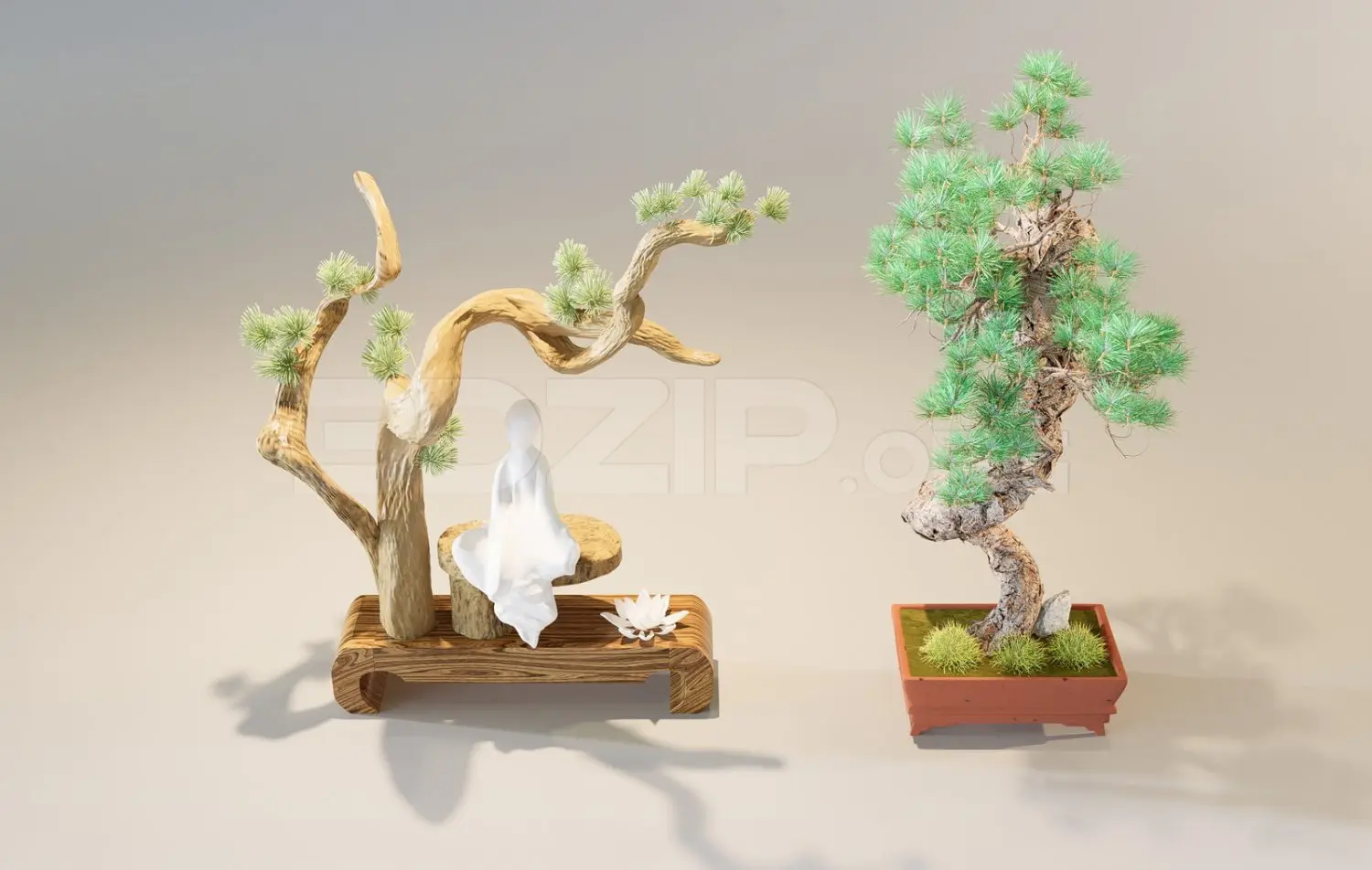 Bonsai trees