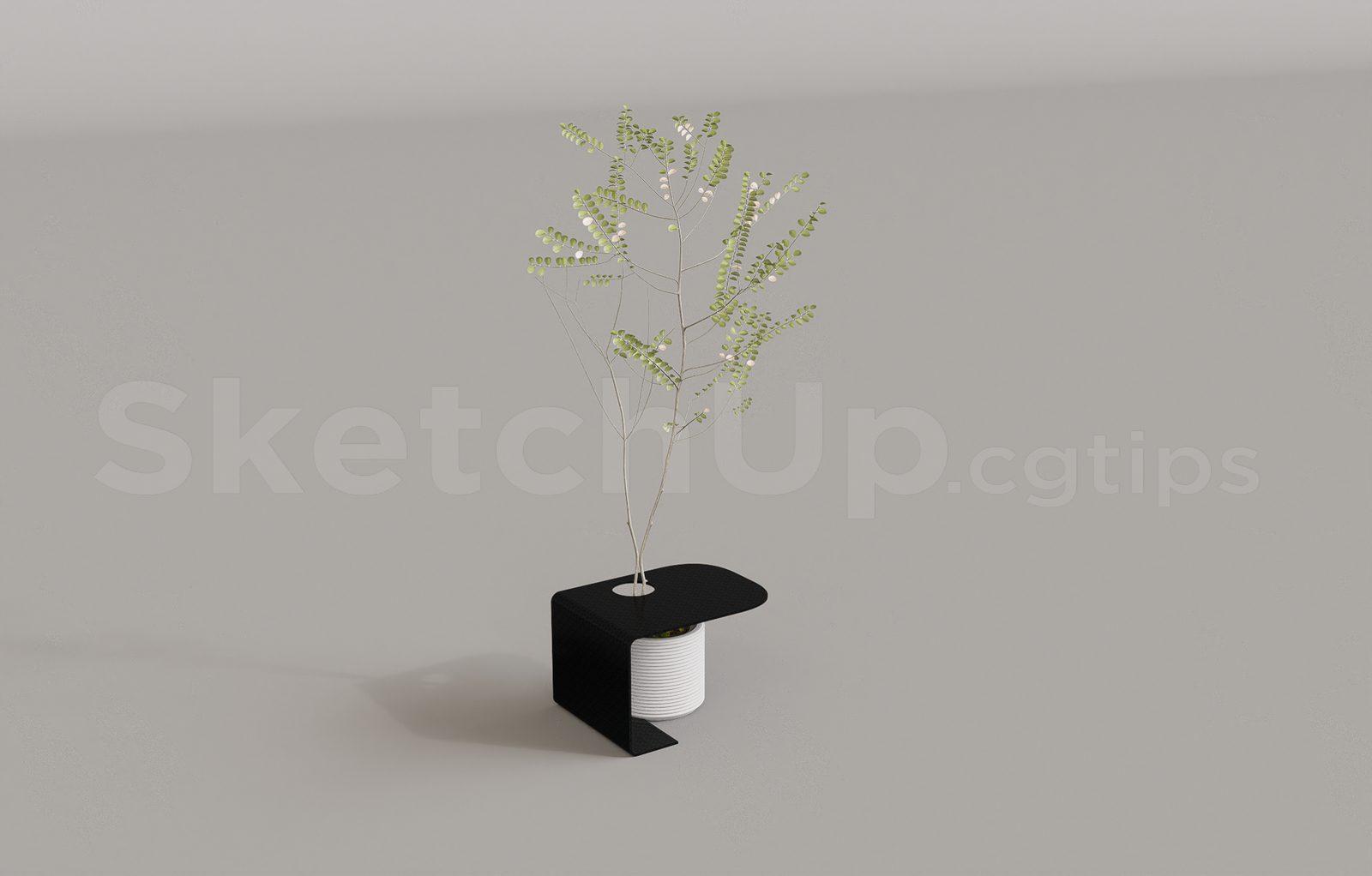 Plant