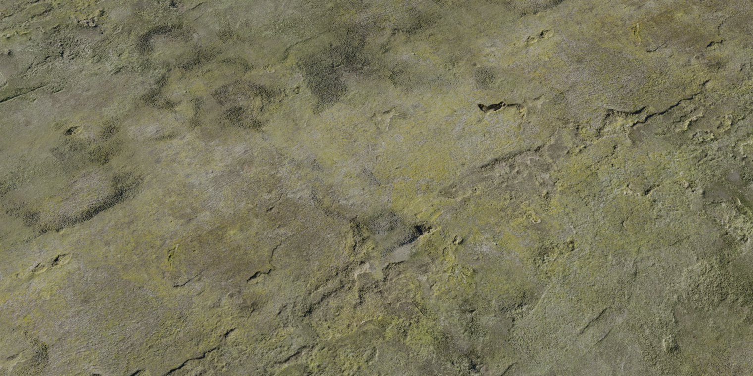 White Plaster Rough 2