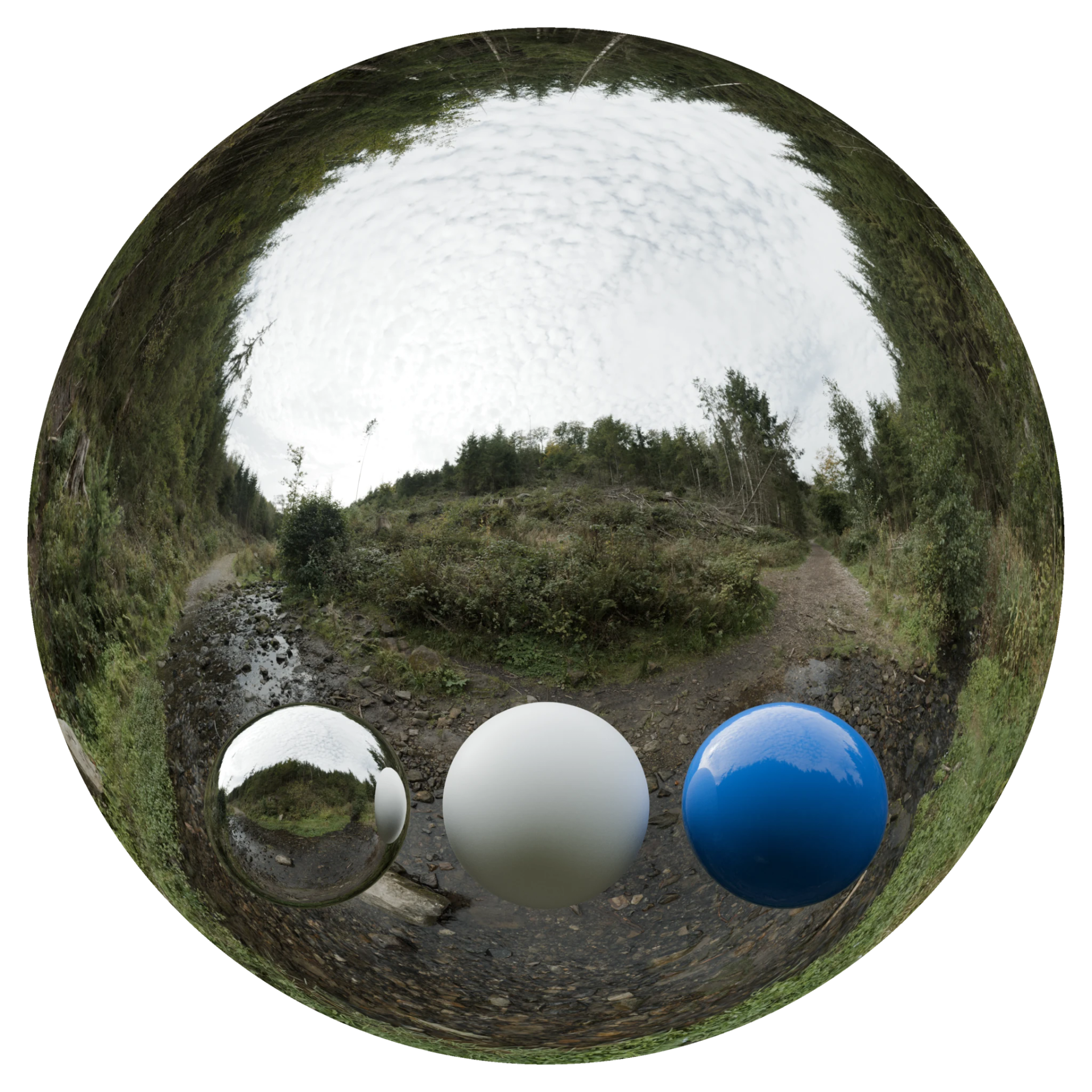 Day Environment HDRI 041