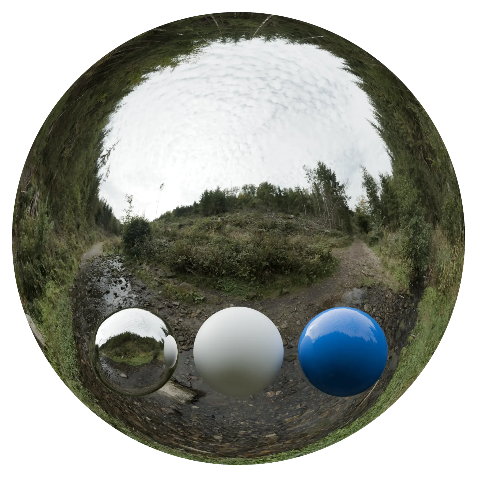 Day Environment HDRI 041