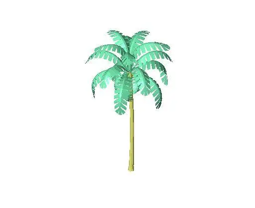 A_palm2