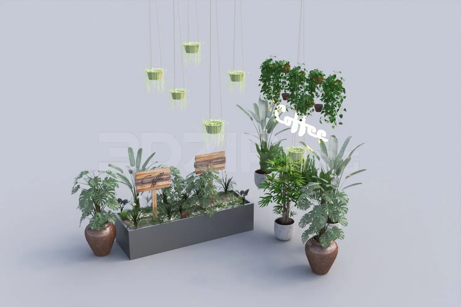 Plant
