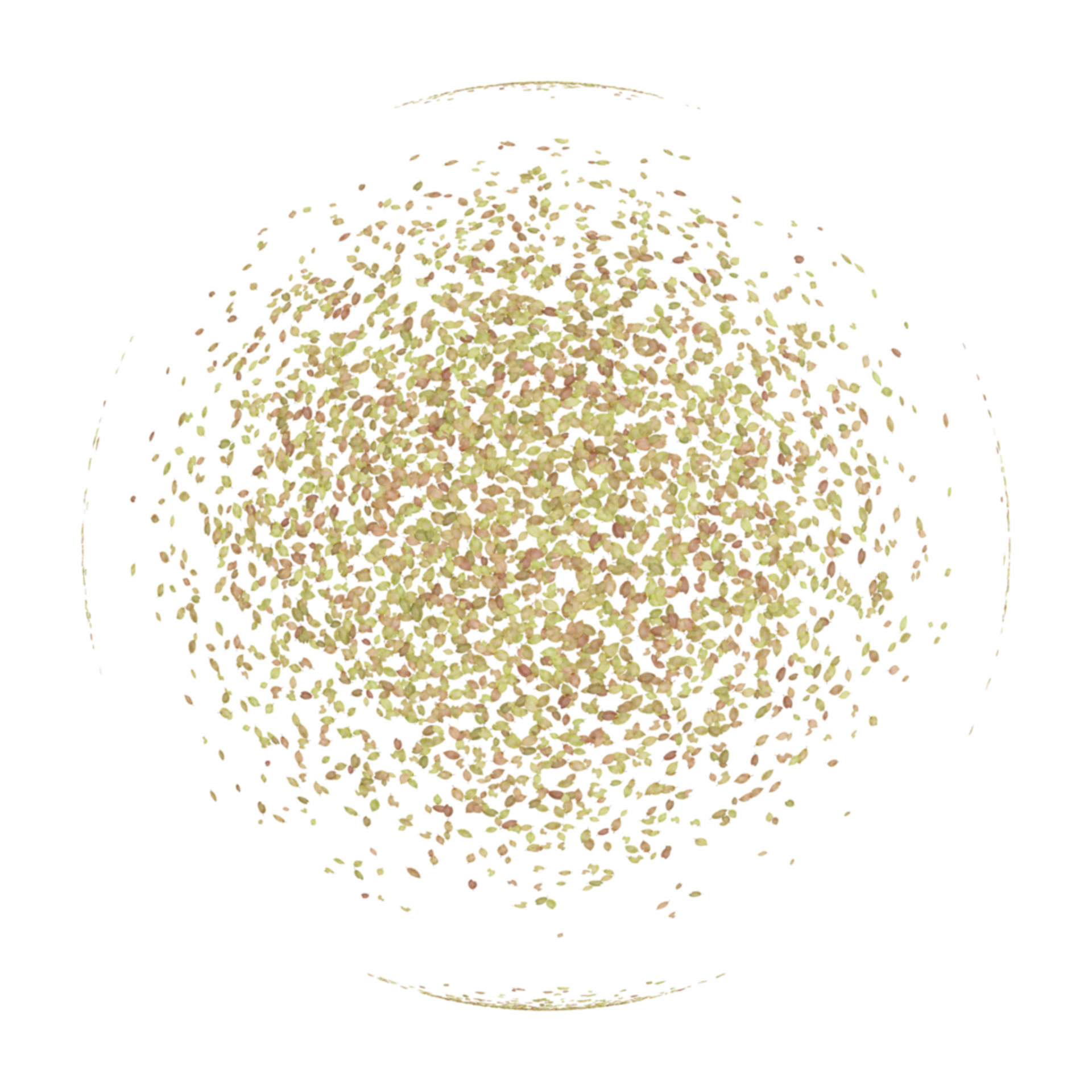 Scattered Leaves 004