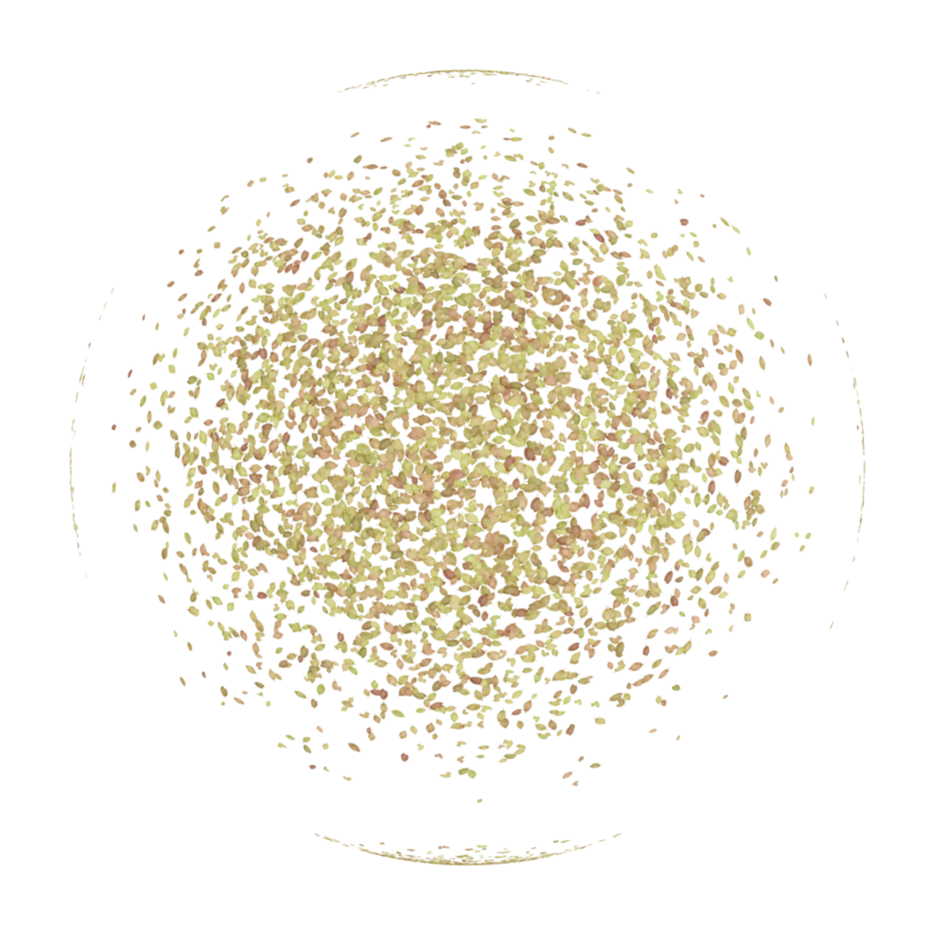 Scattered Leaves 004