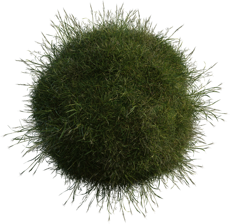 Grass Medium 1