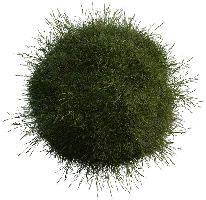 Grass Medium 1