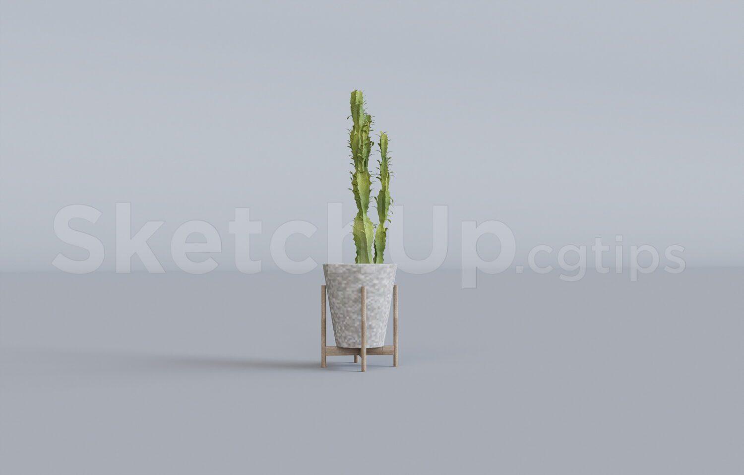 Plant