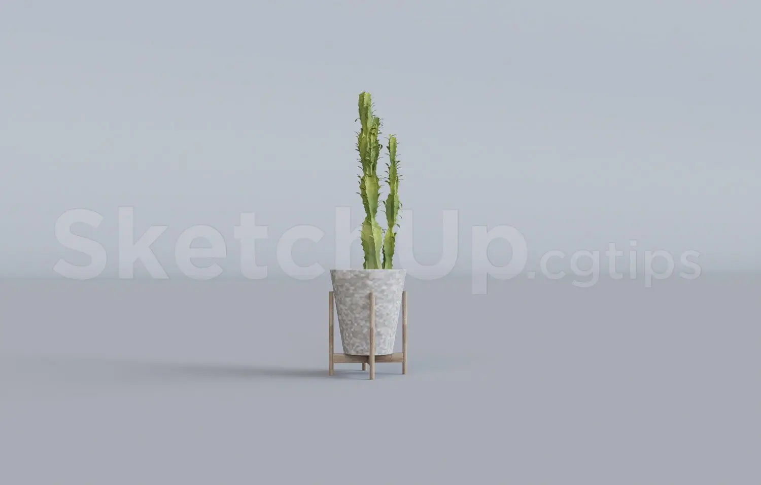 Plant