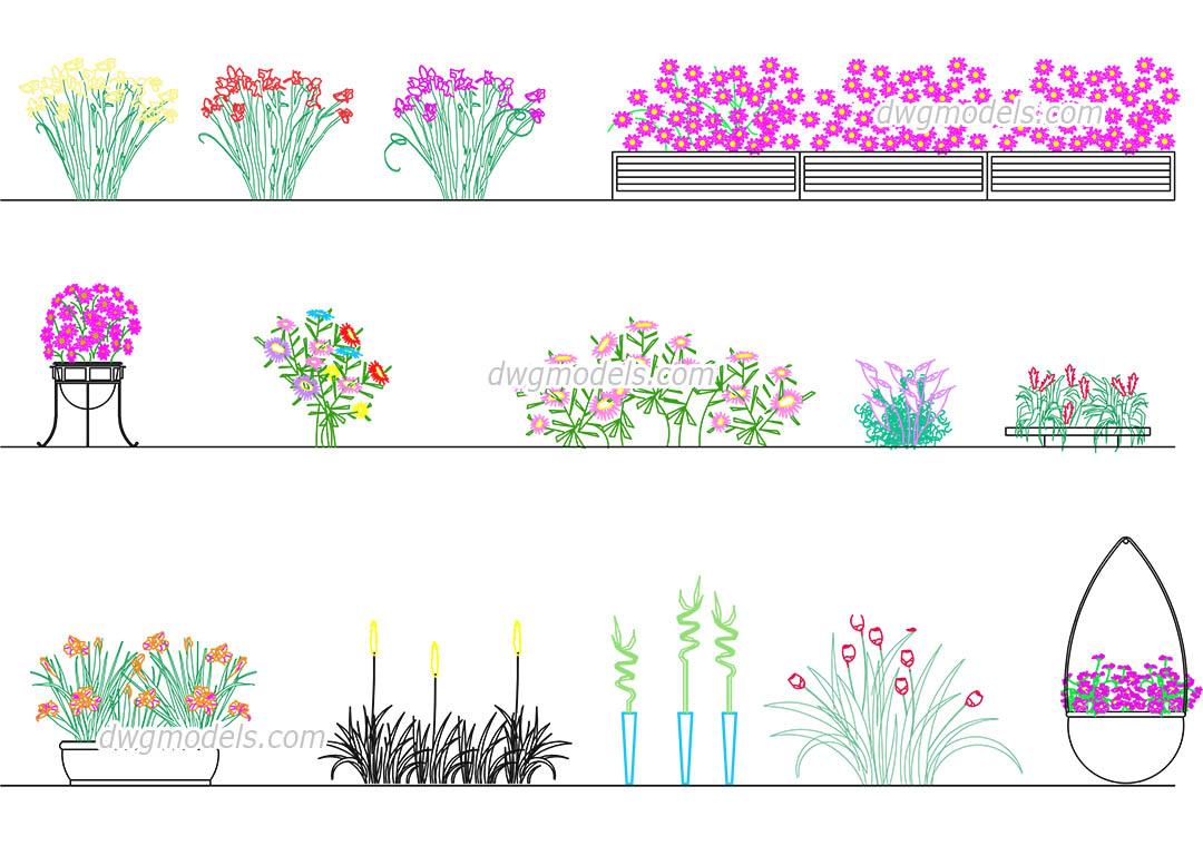 Flowers