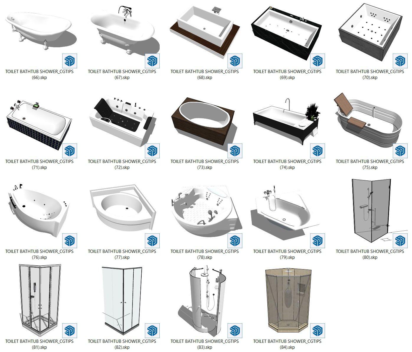 Toilet and Bathtub Shower
