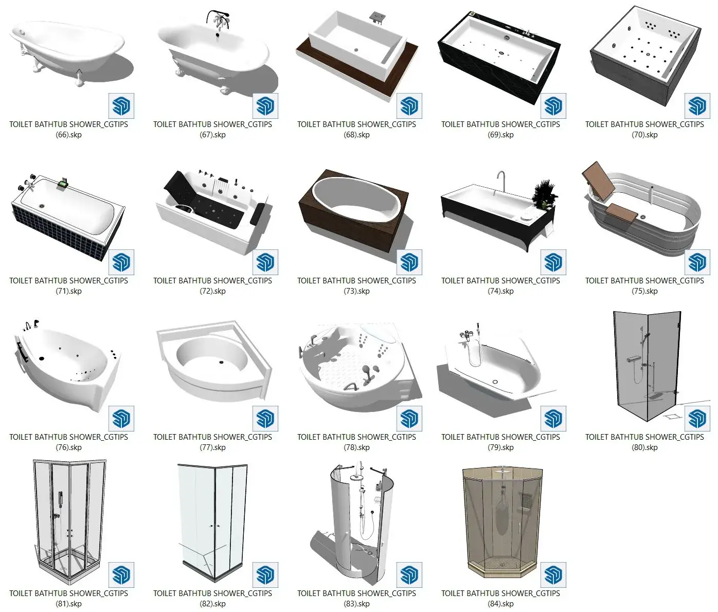 Toilet and Bathtub Shower