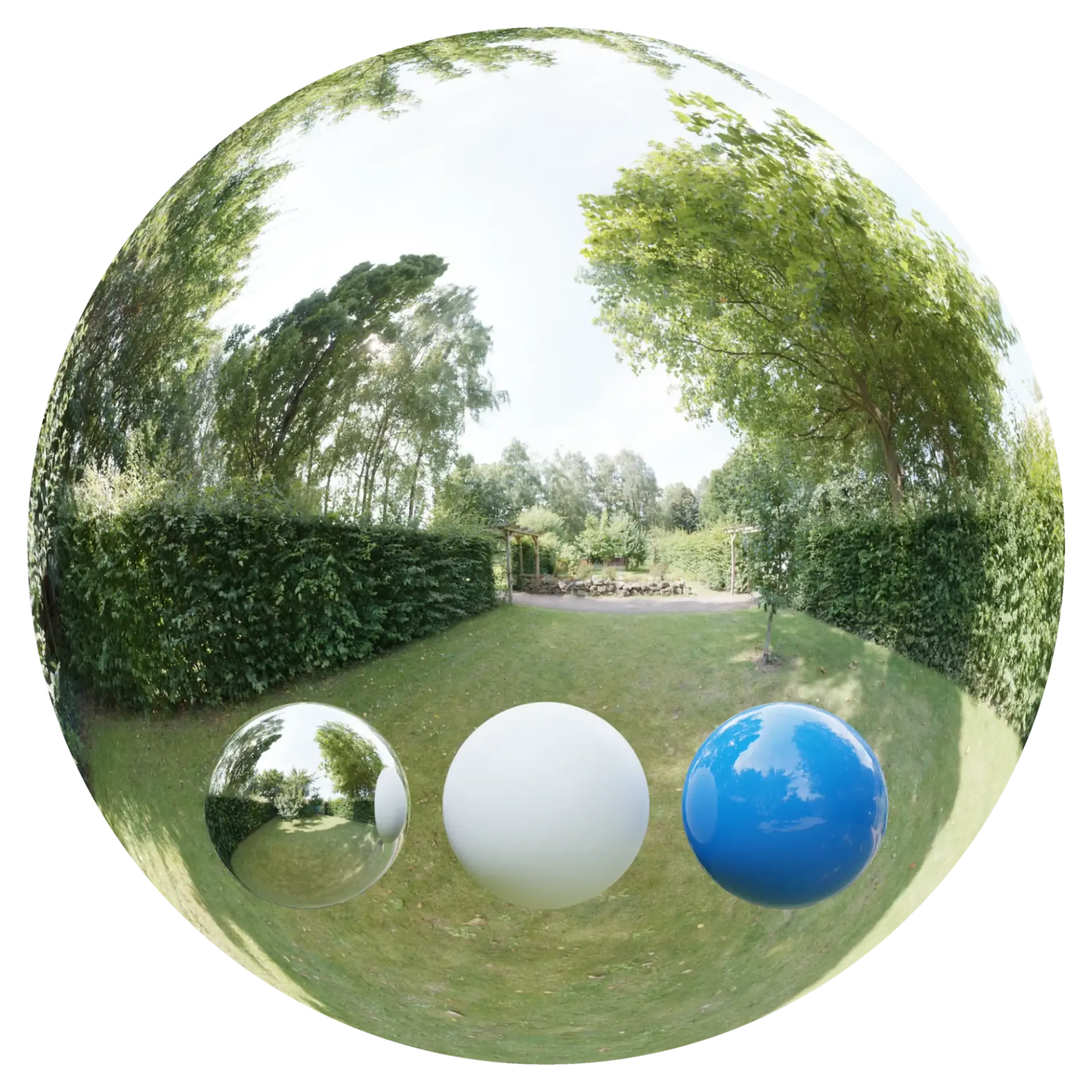 Day Environment HDRI 004