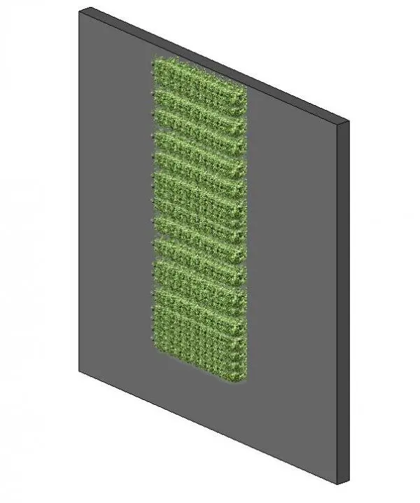 Green Wall - Living Plant Wall