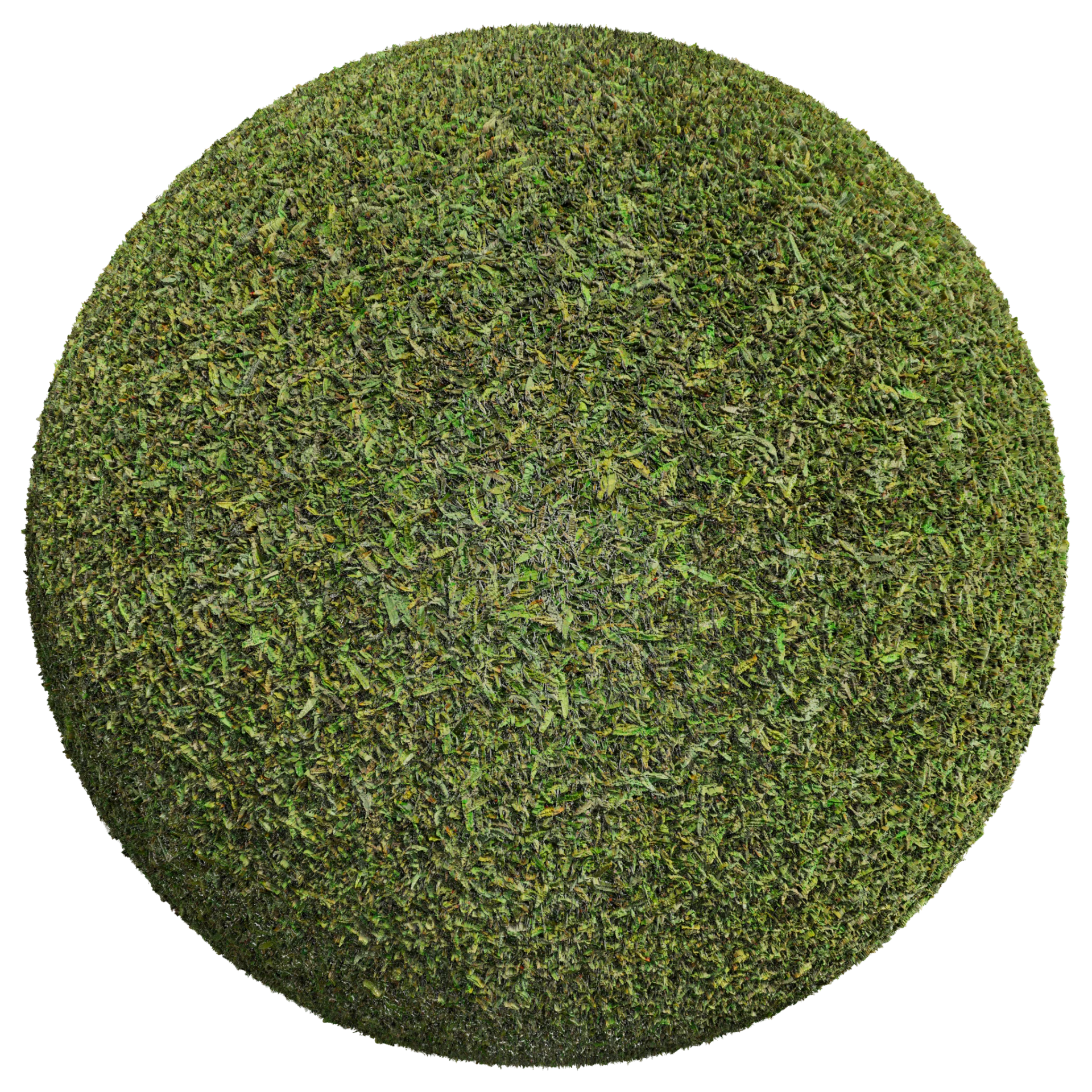 Grass 004