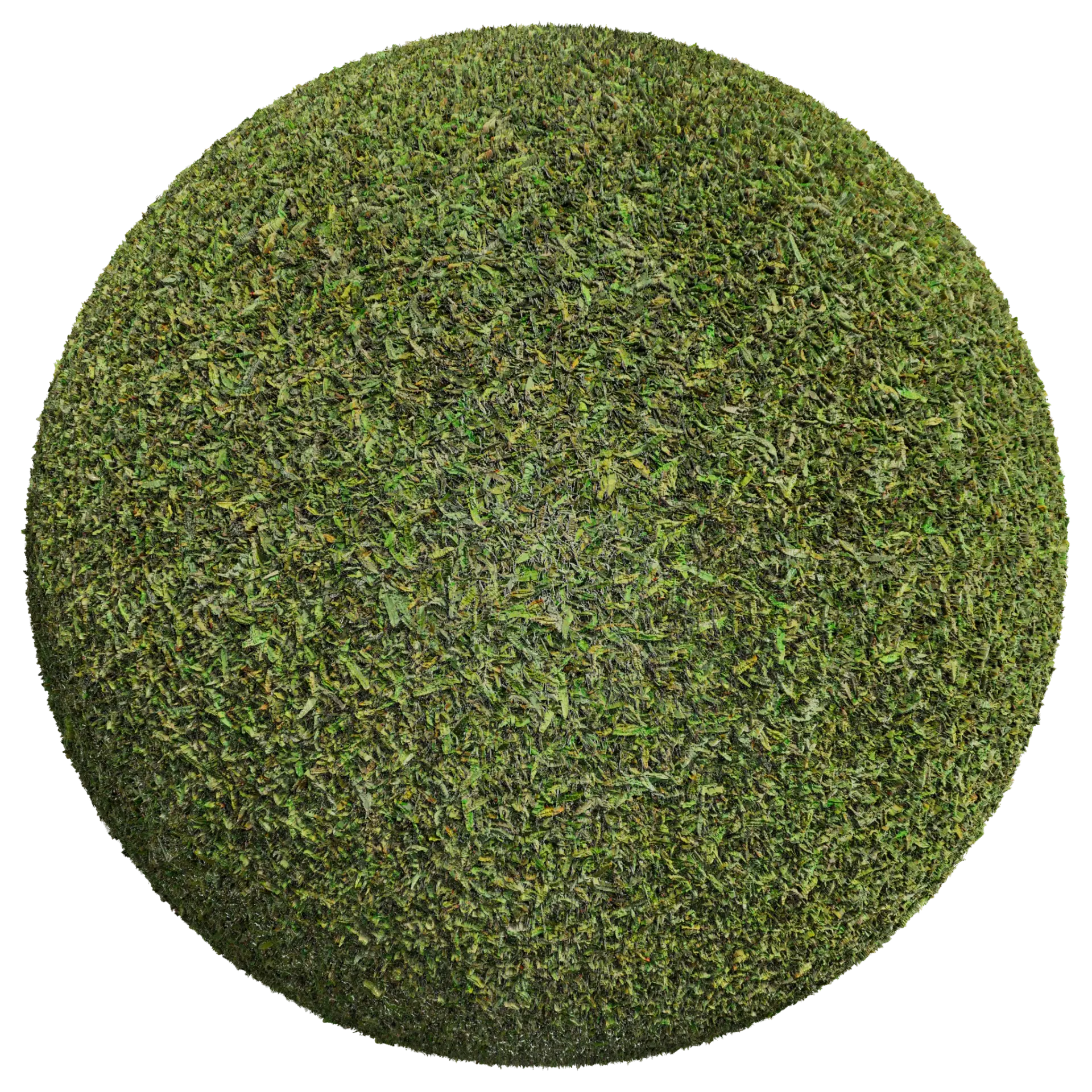 Grass 004