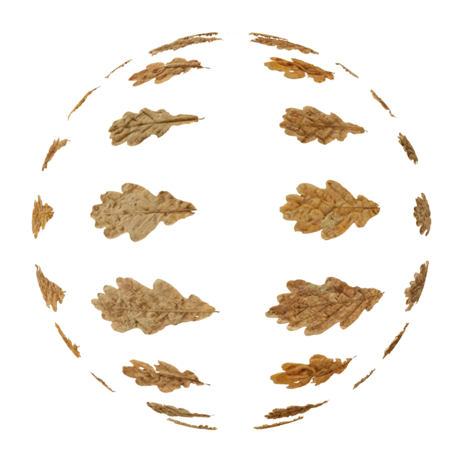 Leaf Set 012