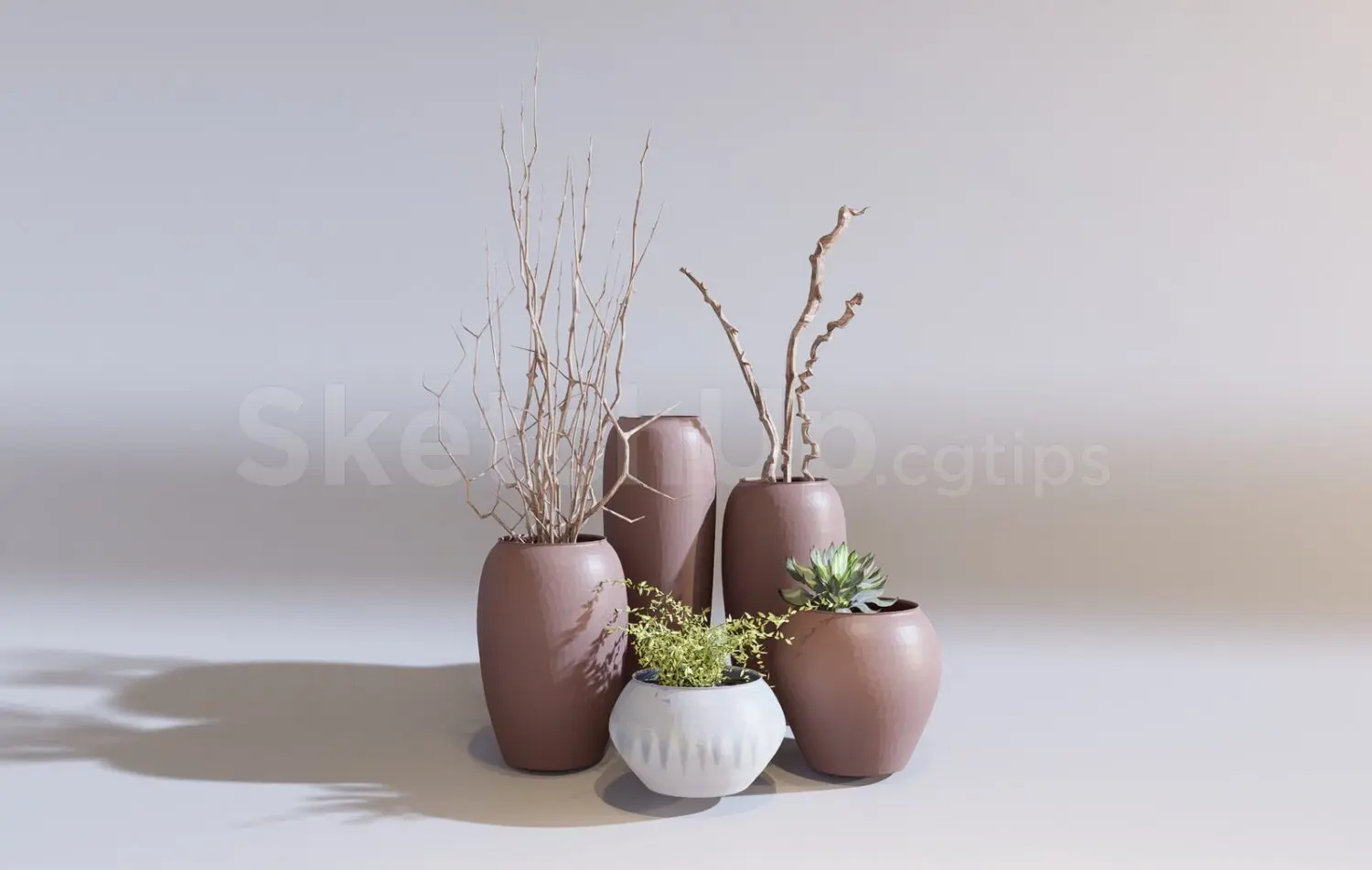 Plants