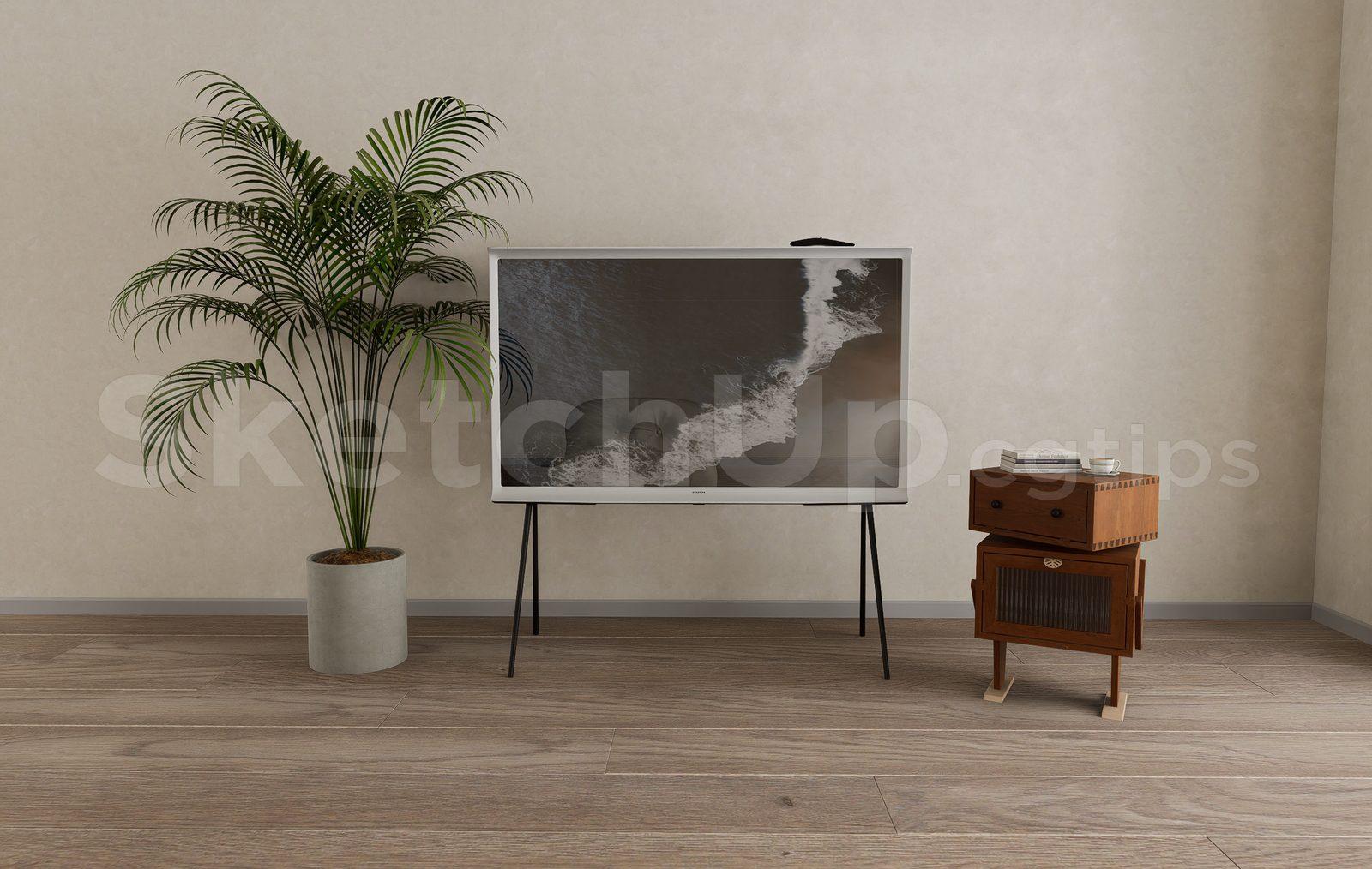 TV