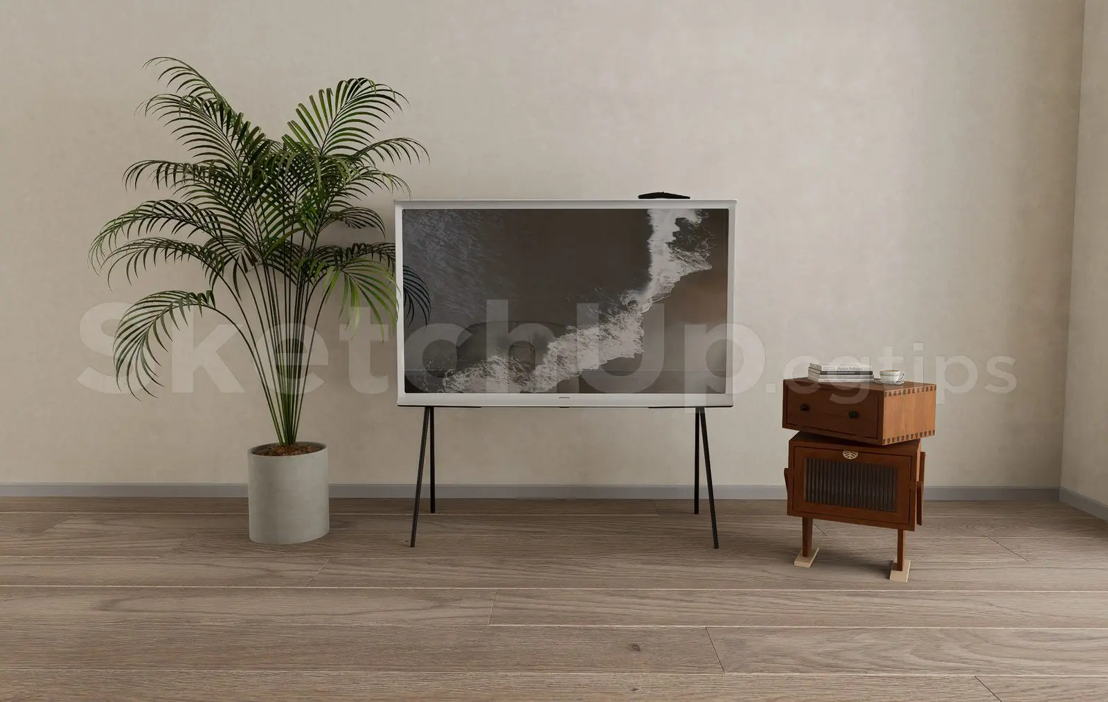 TV