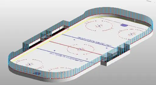 Hockey Rink