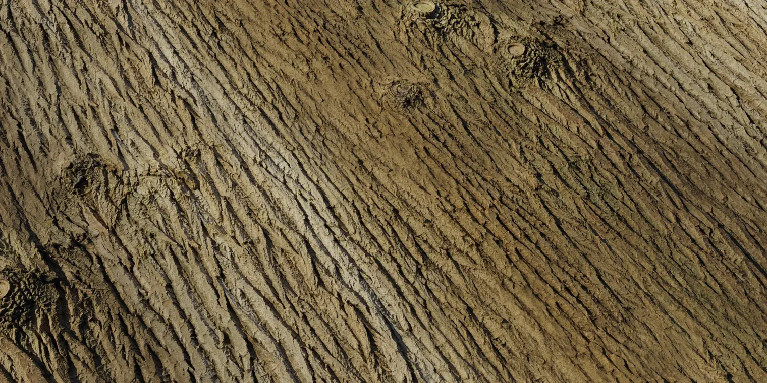 Bark Brown 1