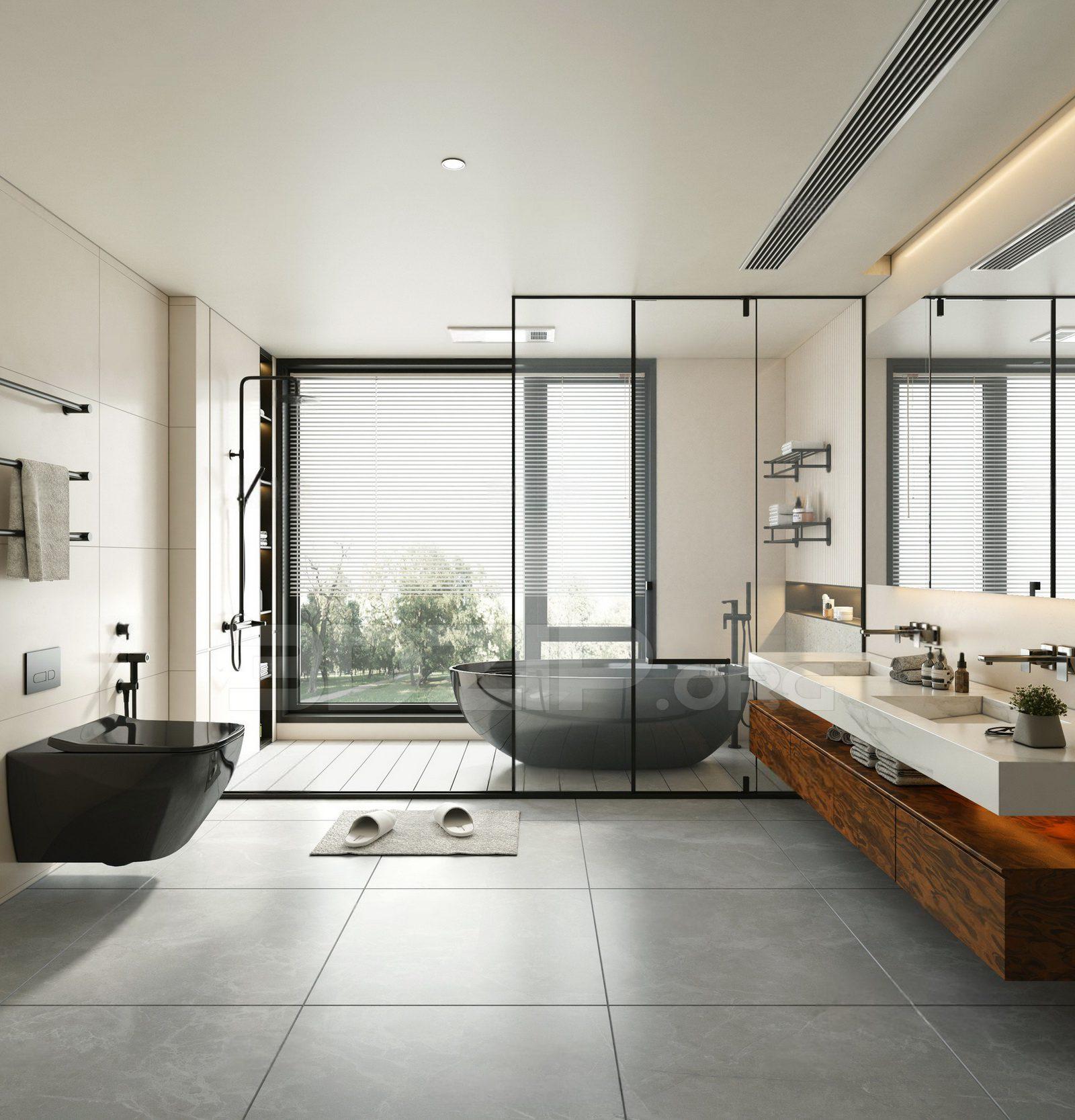 Bathroom Interior