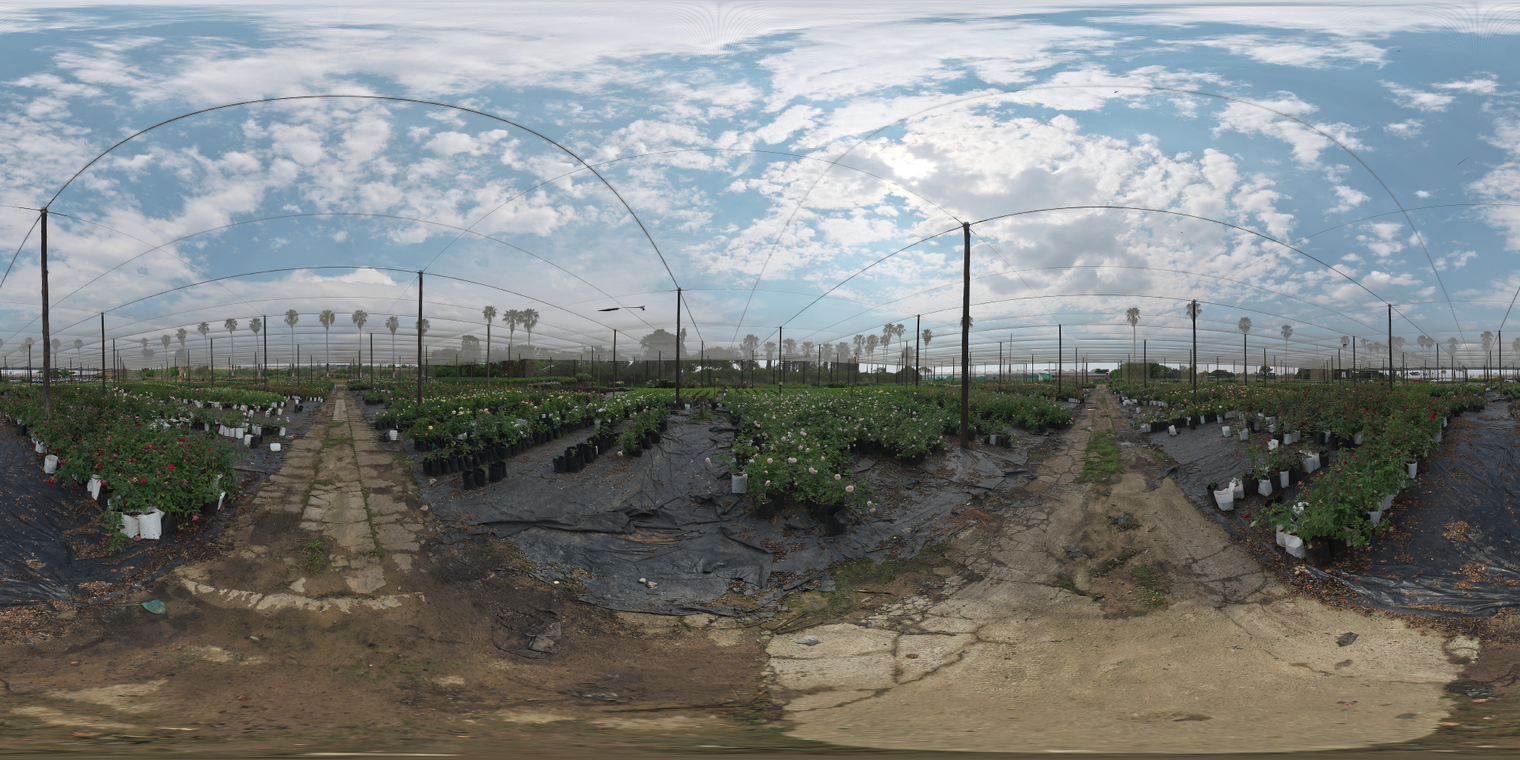 Cloudy Netted Nursery