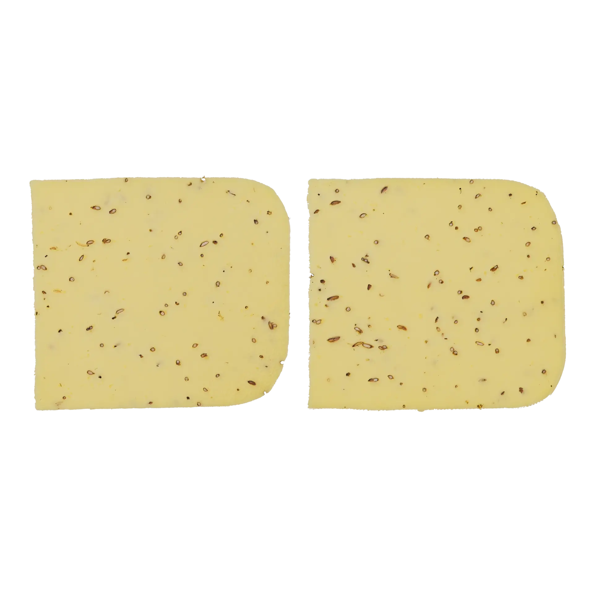 Food Cross Section Set 004