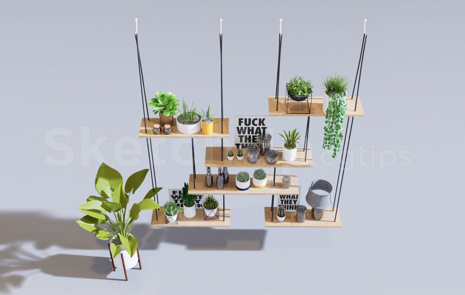 Plants