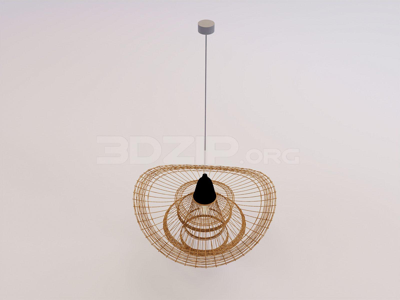 Ceiling Light