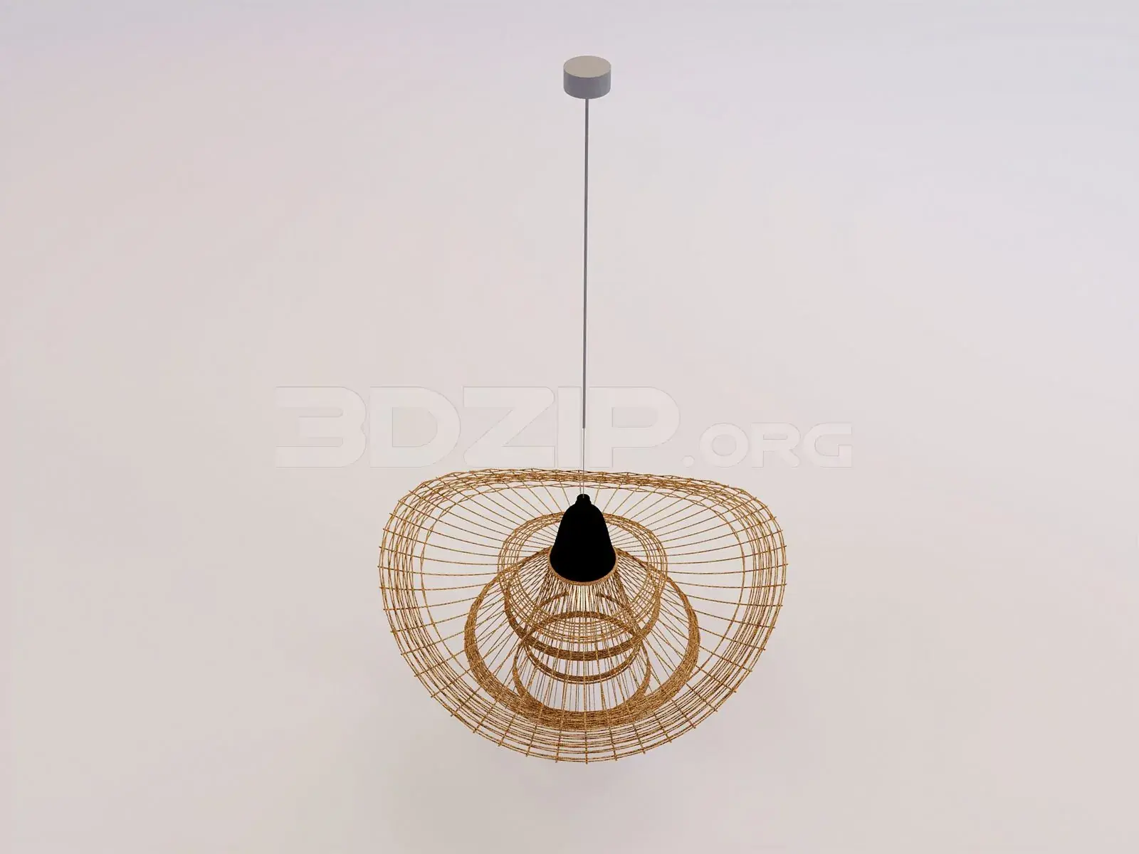 Ceiling Light