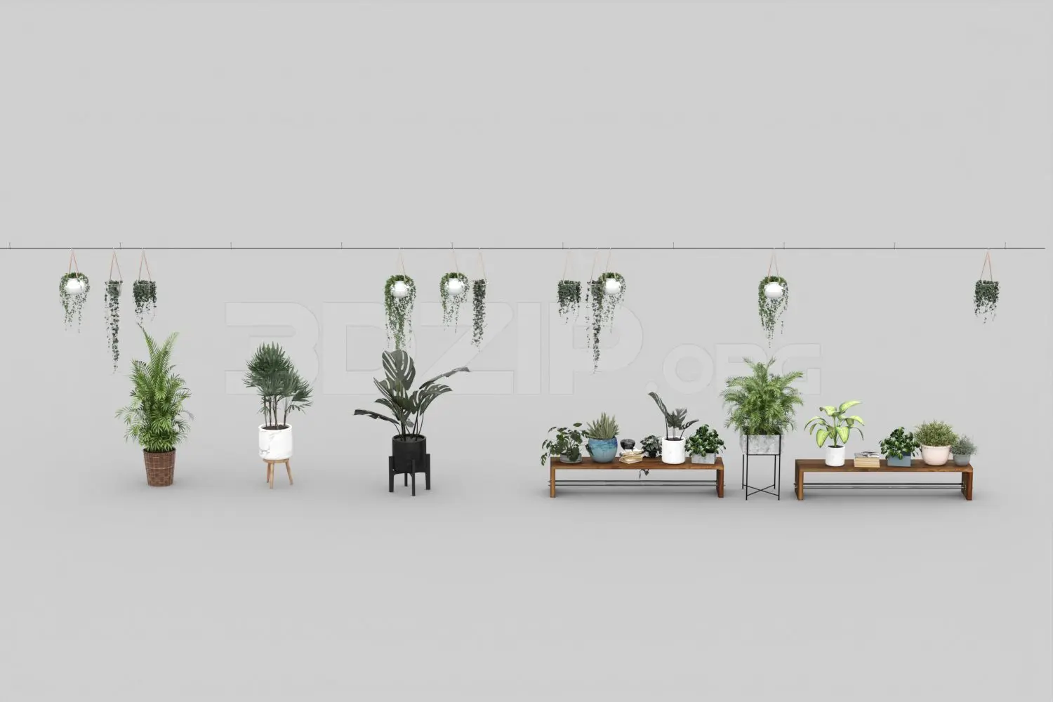 Plant — preview 1, by Giang Lu (3dzip)