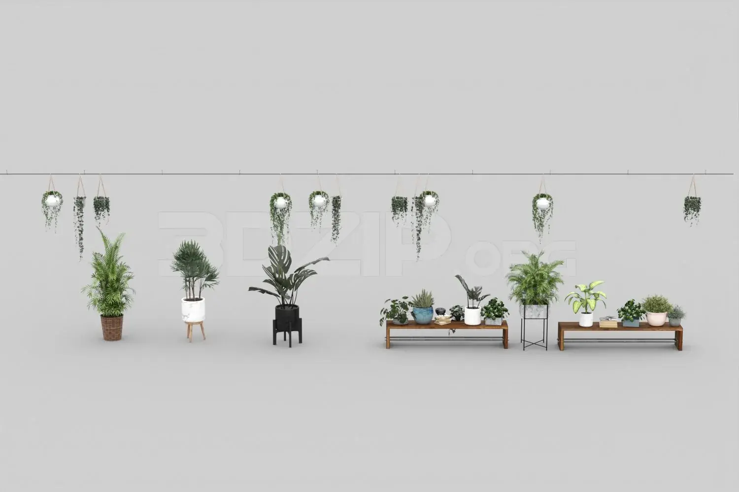 Plant
