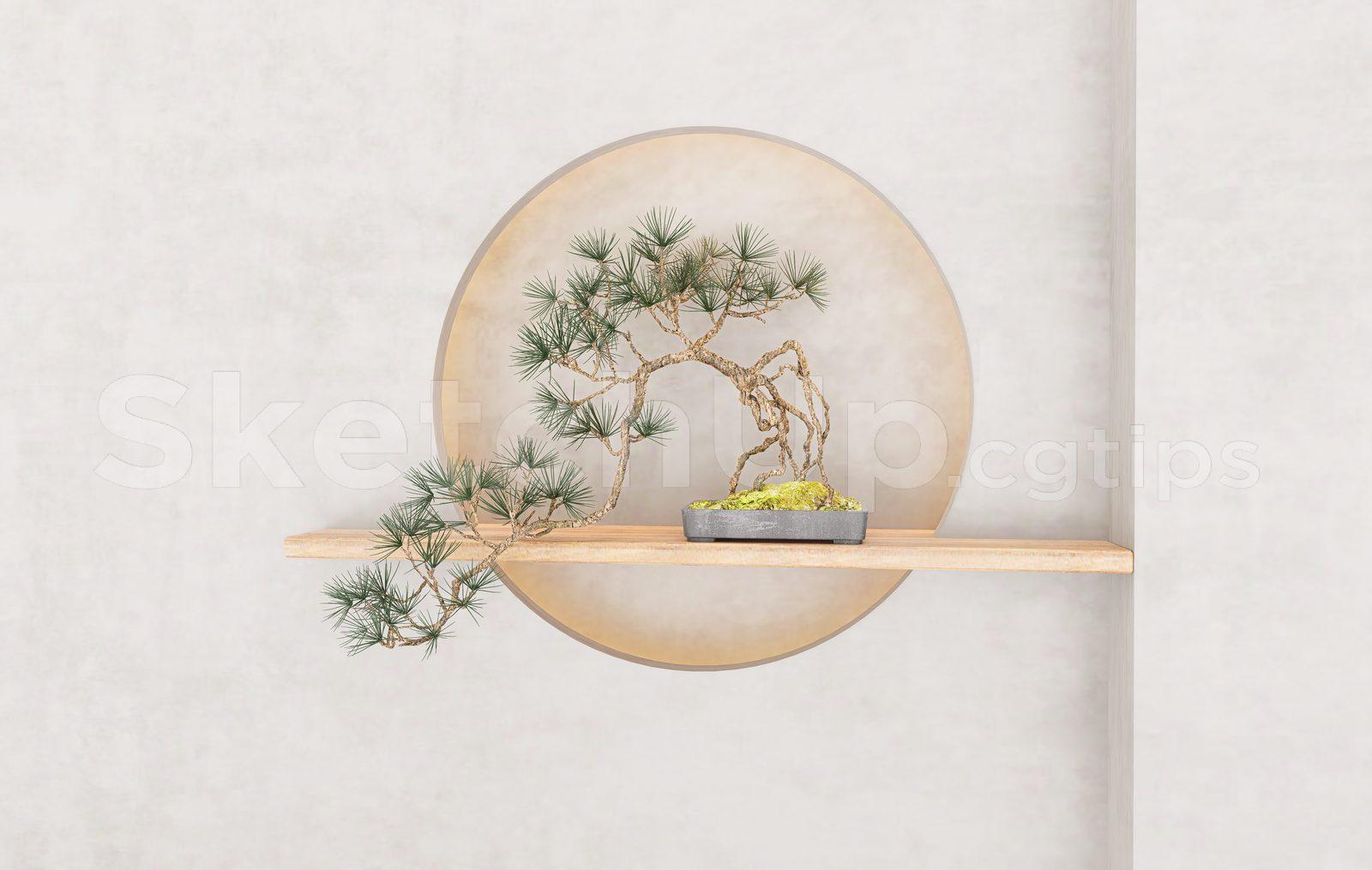 BonSai Tree