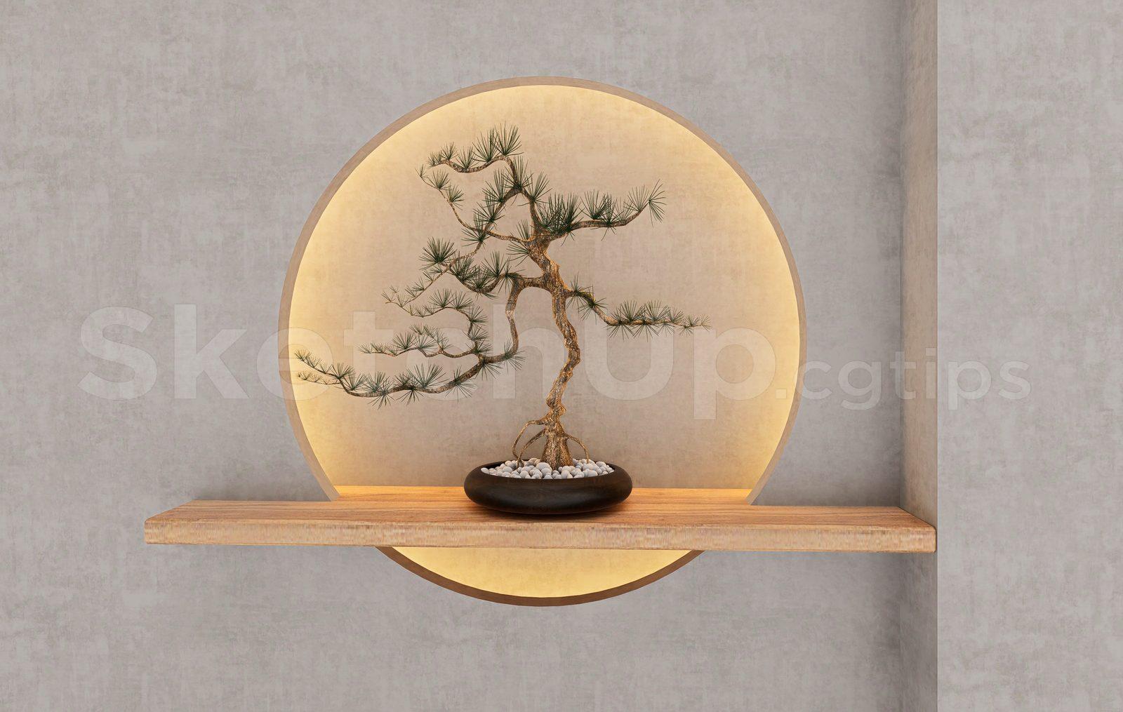 BonSai Tree