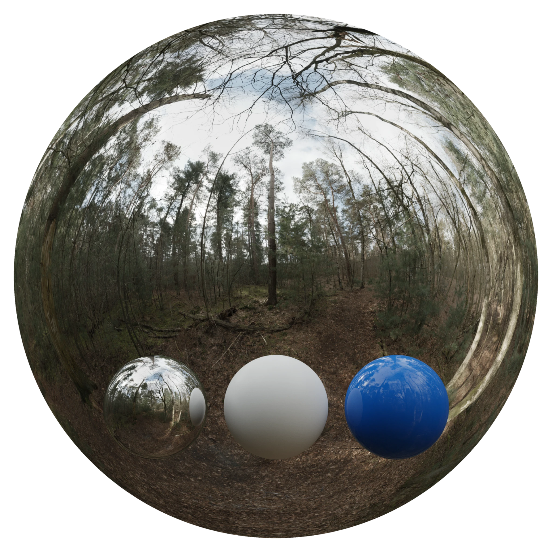 Day Environment HDRI 026