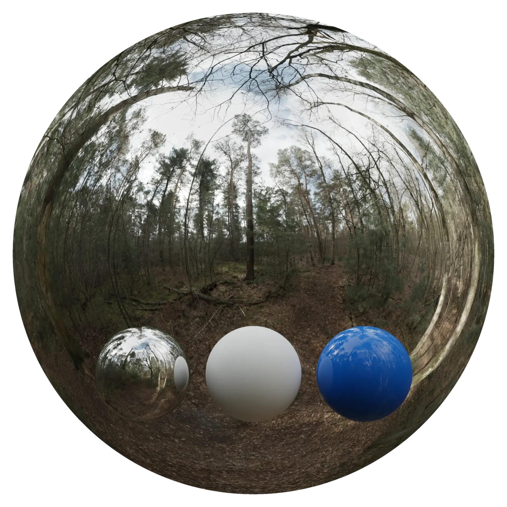 Day Environment HDRI 026