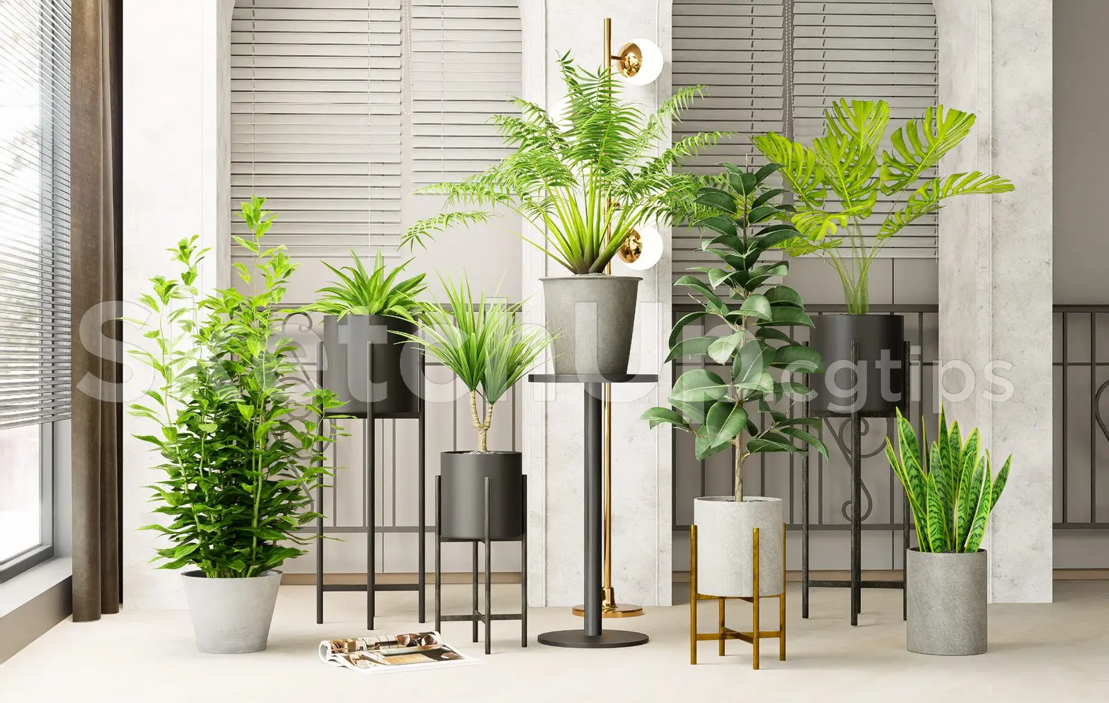 Plant