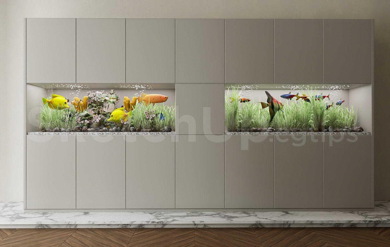 Aquarium Tank