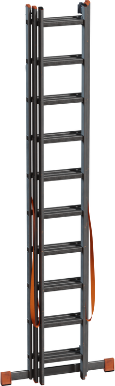 Ladder Sectioned 1