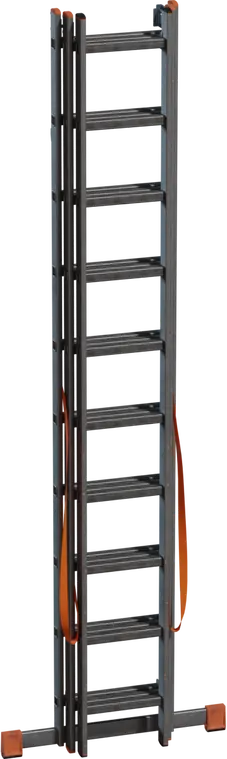 Ladder Sectioned 1