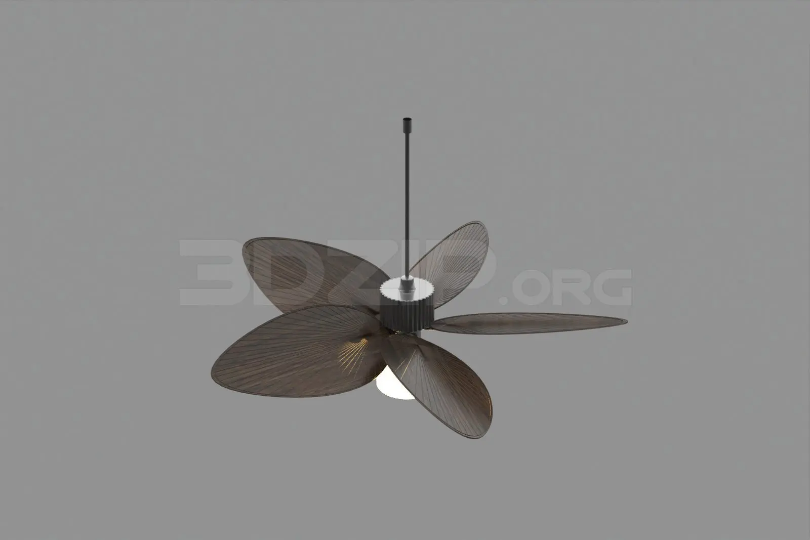 Ceiling Fans